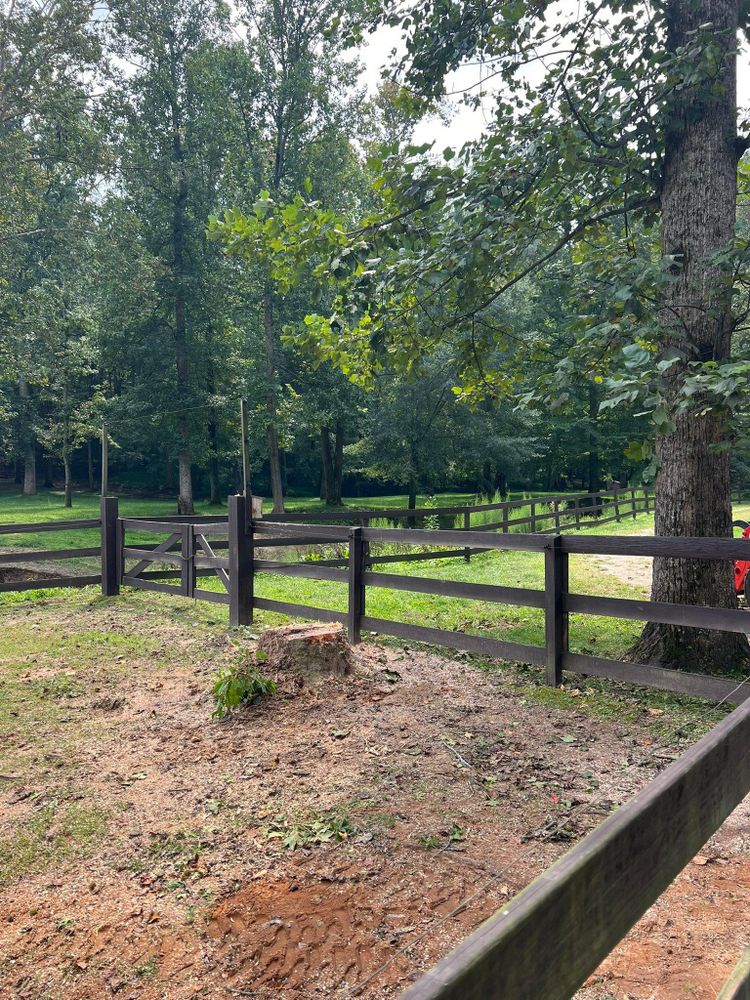 All Photos for Brooks Tree Service in Casar, NC