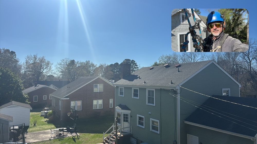 All Photos for Ascending Tree Service LLC in Kenbridge, VA