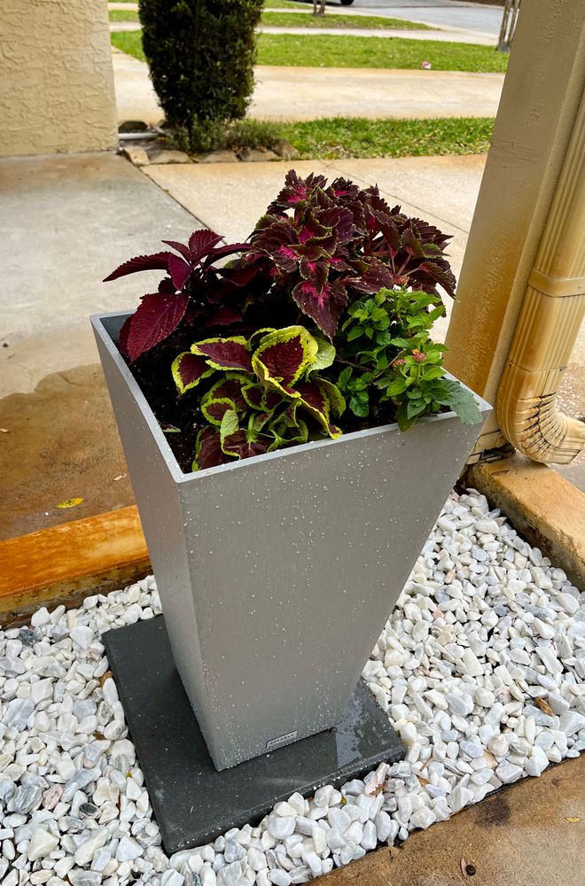 Landscape Design and Installation for Verimay's Garden and Landscaping in Hillsborough County, FL