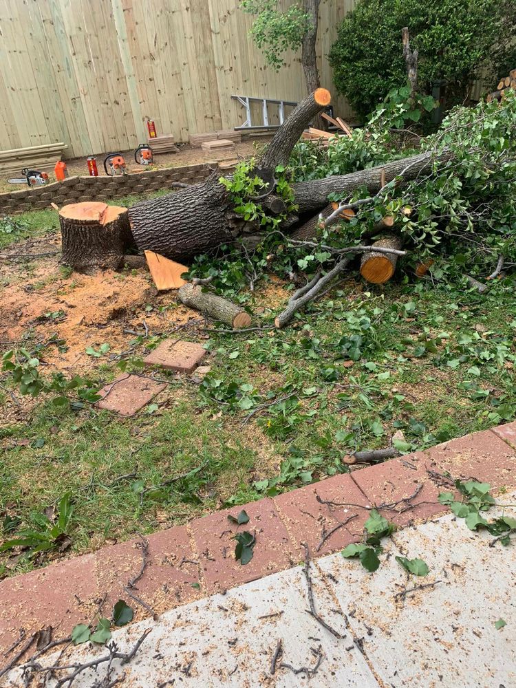 We offer professional stump removal services to fully eliminate unsightly stumps from your property, ensuring a smooth and safe landscape for you to enjoy without any remaining traces of removed trees. for Teague Trees & Landscaping in Rendon, TX