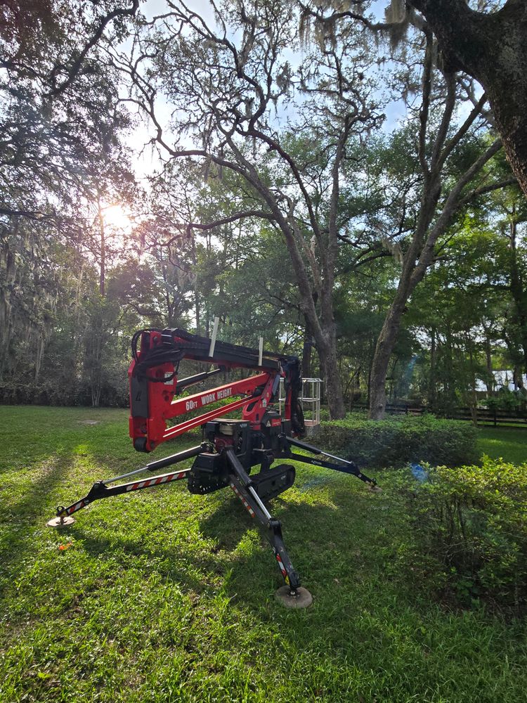All Photos for Near Me Tree Service, Inc. in DeLand, FL