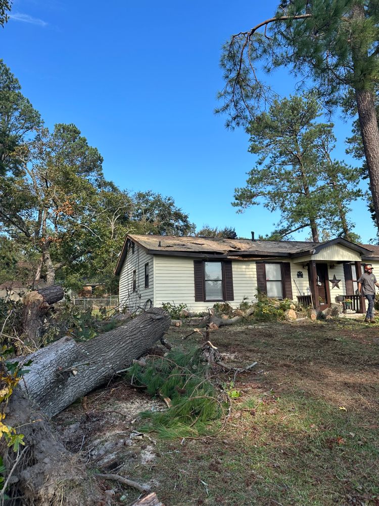 All Photos for ArborMax in Thomaston, GA