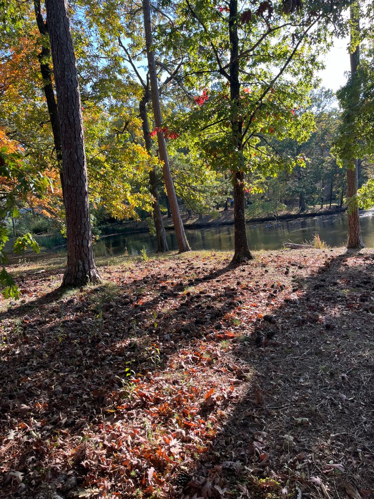 All Photos for J.P Landscaping and excavation in Chattanooga, TN