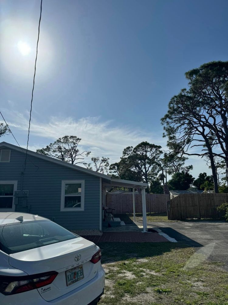 Tree Removal for Lemon Bay Tree Service  in Englewood, FL