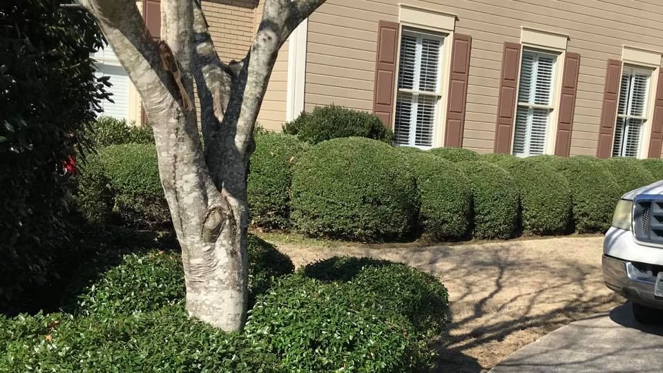 Landscaping for Alpha 1 Property Maintenance LLC in Pensacola, FL