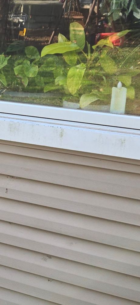 All Photos for Valley pro pressure washing in Rushville, IN