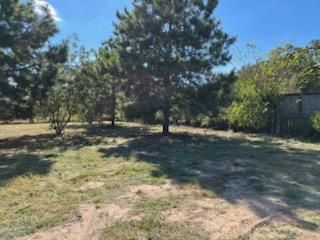 All Photos for Oviedo Land & Garden in Bastrop, TX