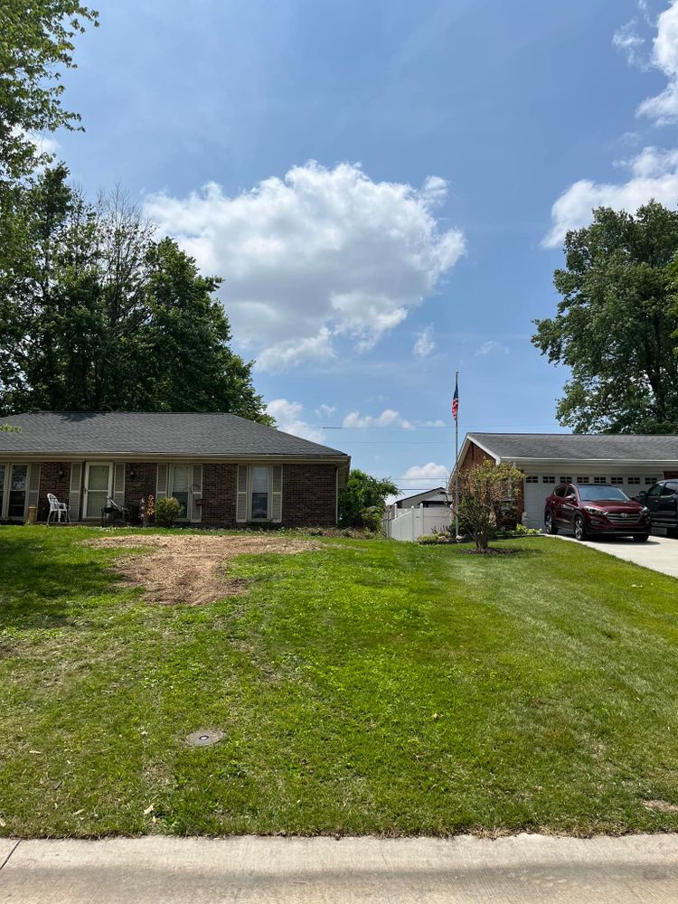 Tree Removal for Precision Tree Service, Inc. in Ryland Heights, KY