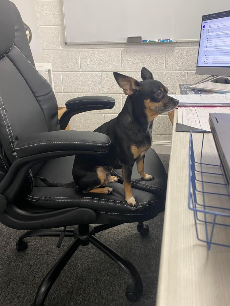 All Photos for Precision Remodeling and Property Maintenance  in Detroit, MI