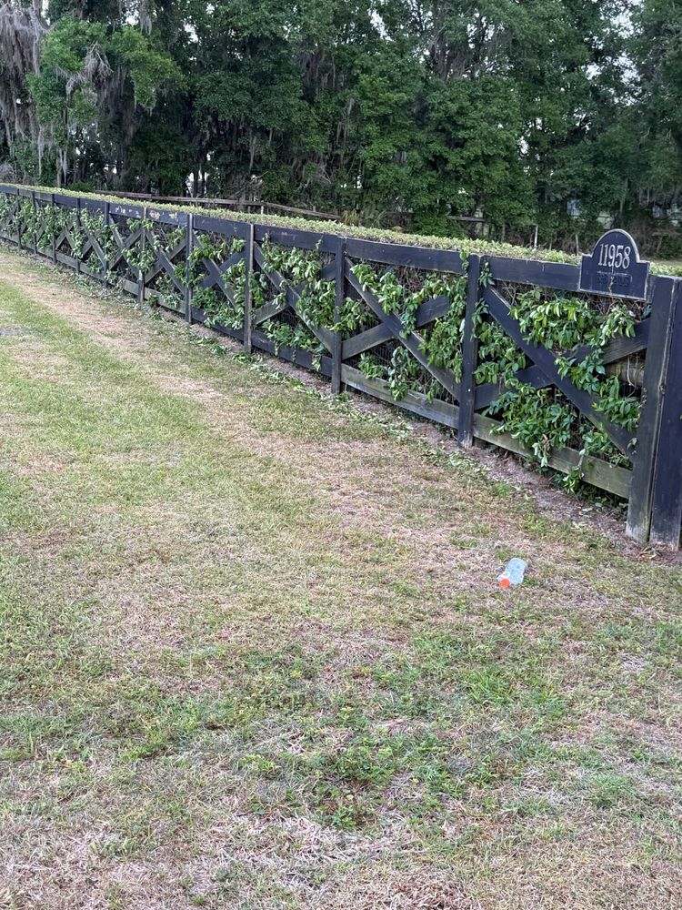 All Photos for Bauer Fencing & Farm Maintenance in Ocala, FL