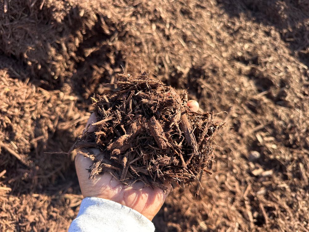 All Photos for Nature Tones Landscaping & Hardscaping in Hampstead, NC