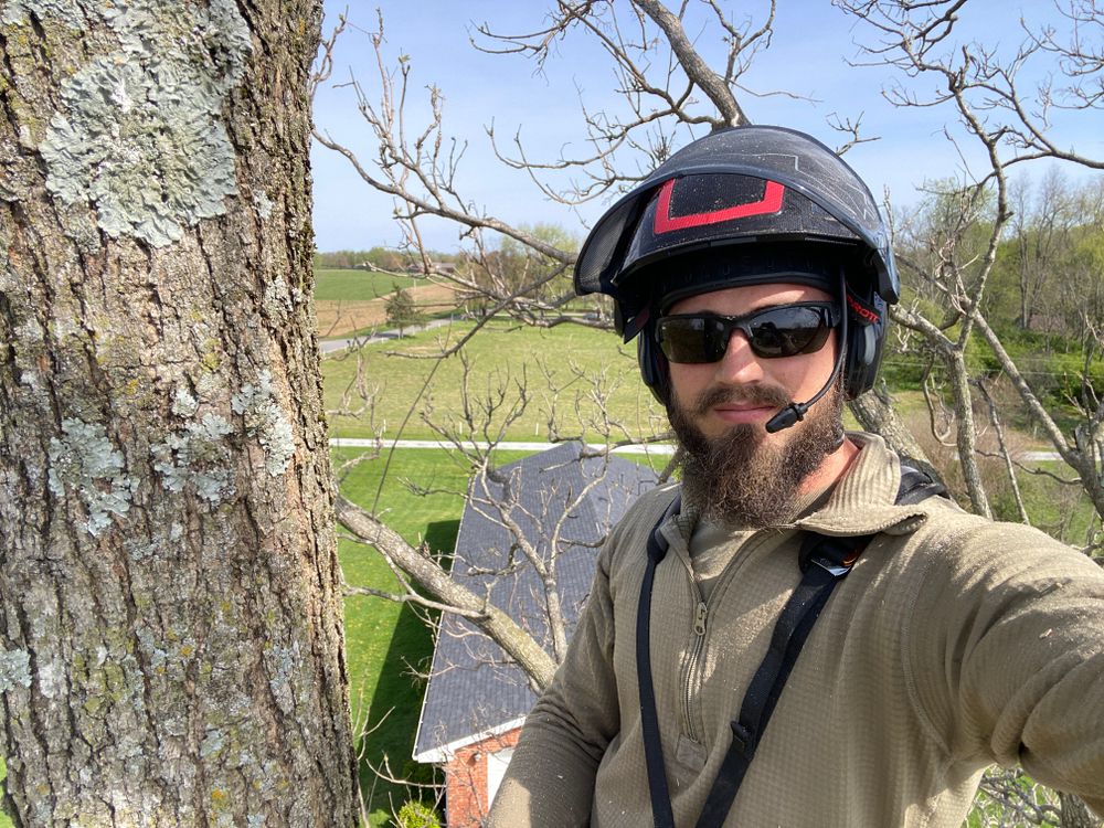 All Photos for Houtz Tree Service in Lexington, KY