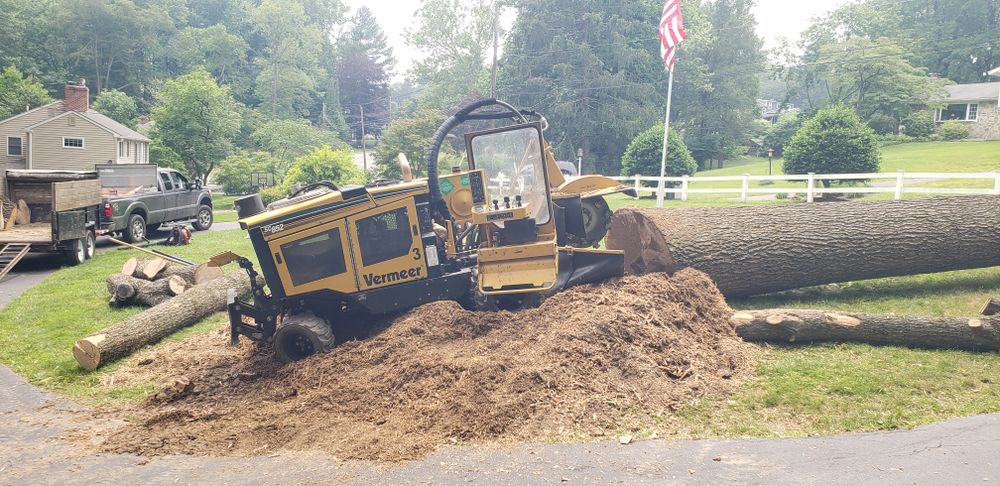 Our expert stump removal service ensures a clean, hazard-free yard as part of our comprehensive landscaping solutions. Trust our team for efficient snow removal, enhancing safety and aesthetics in every season. for Freedom Outdoor Services in Glen Mills, PA