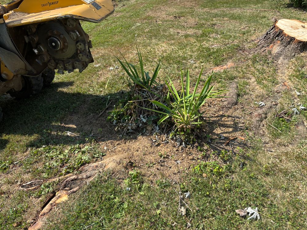 All Photos for Conrad's Stump Removal in Columbus, IN