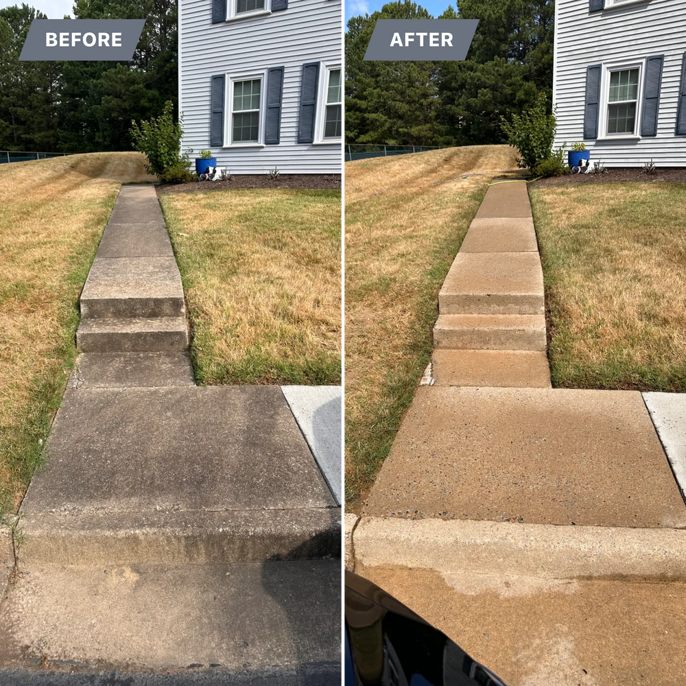 All Photos for LeafTide Solutions in Richmond, VA