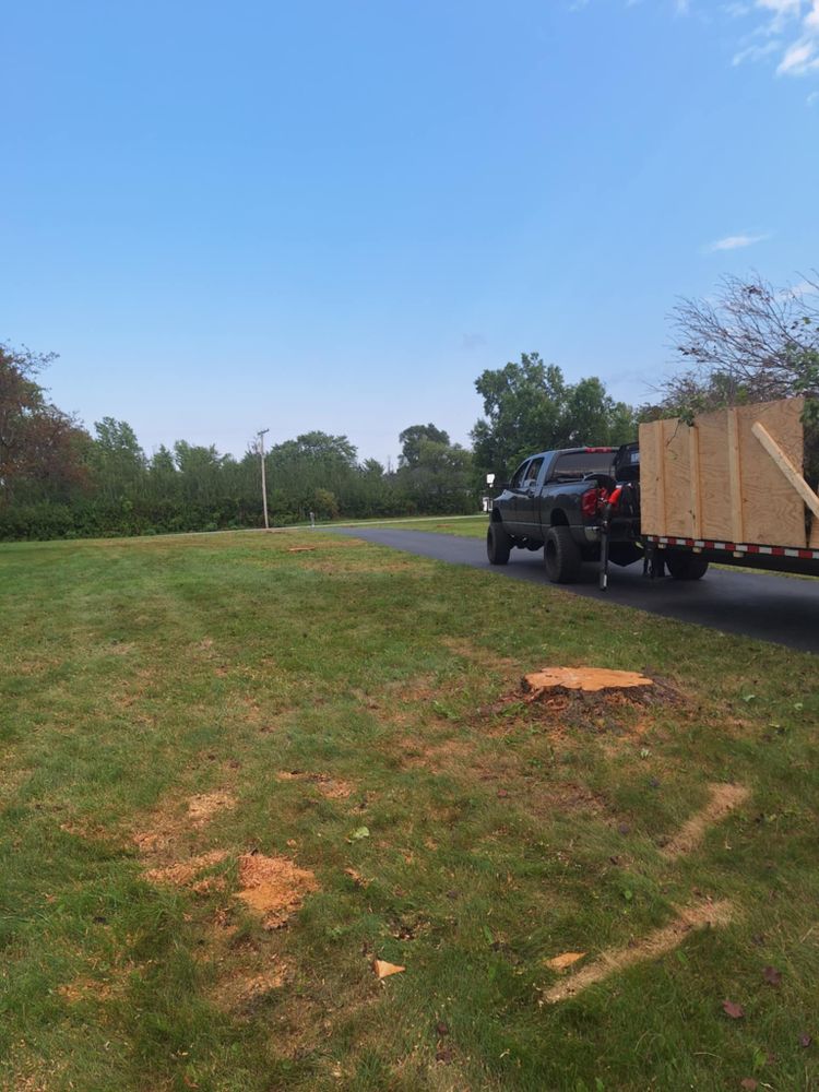 Emergency Storm Work for Highborn Tree Service in Wheatfield, IN