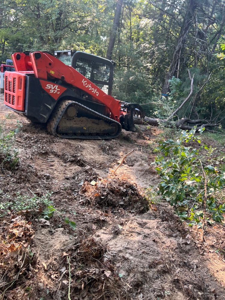 Tree Removal for Best Price Tree Service in Hallsville, TX