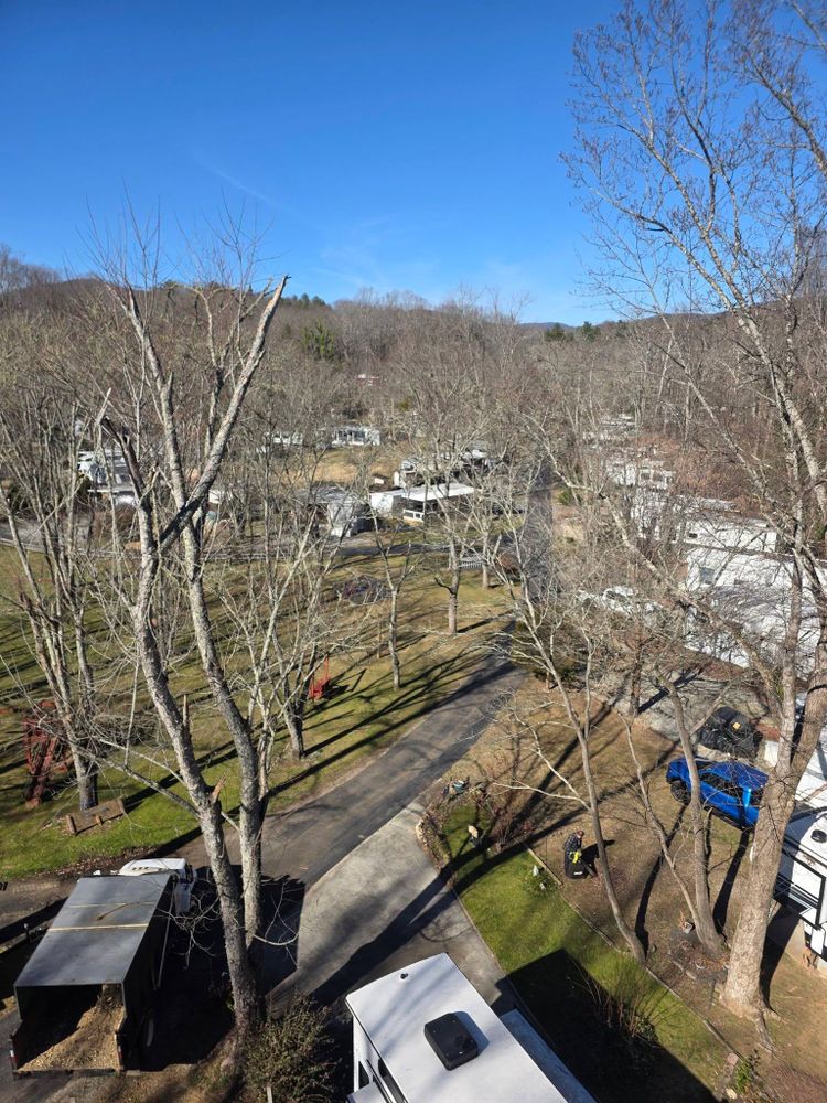 All Photos for Bobcat Bob in Clermont, GA