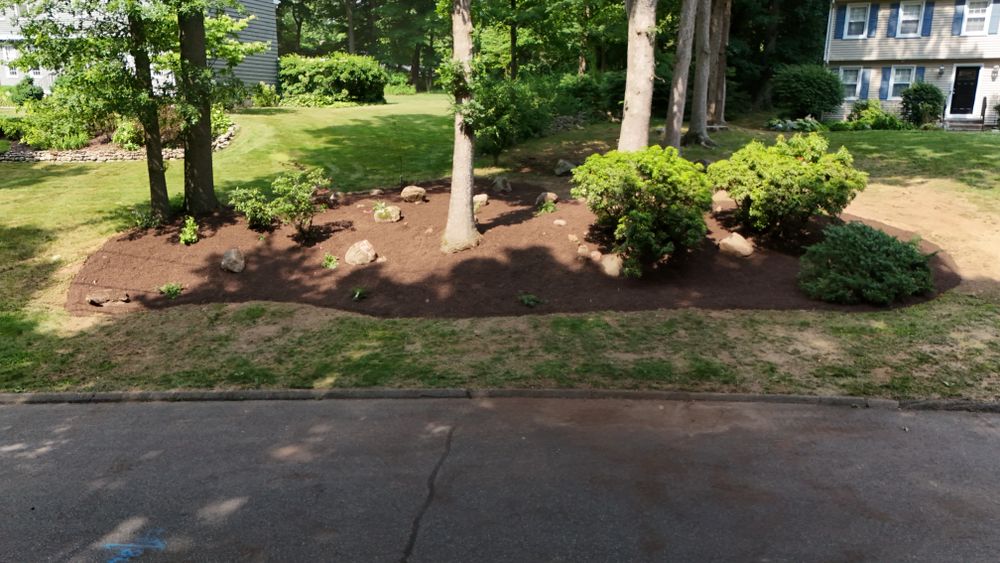 Landscape & Bed Design for Ace Landscaping in Trumbull, CT