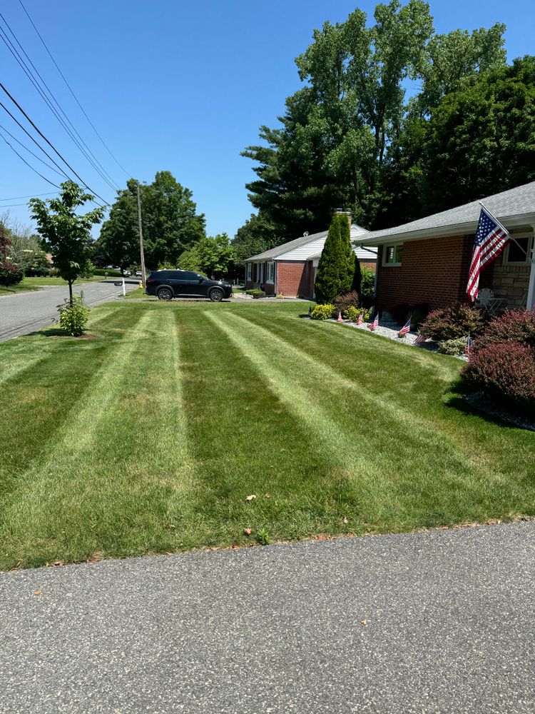 All Photos for Adams Landscaping in Springfield, MA