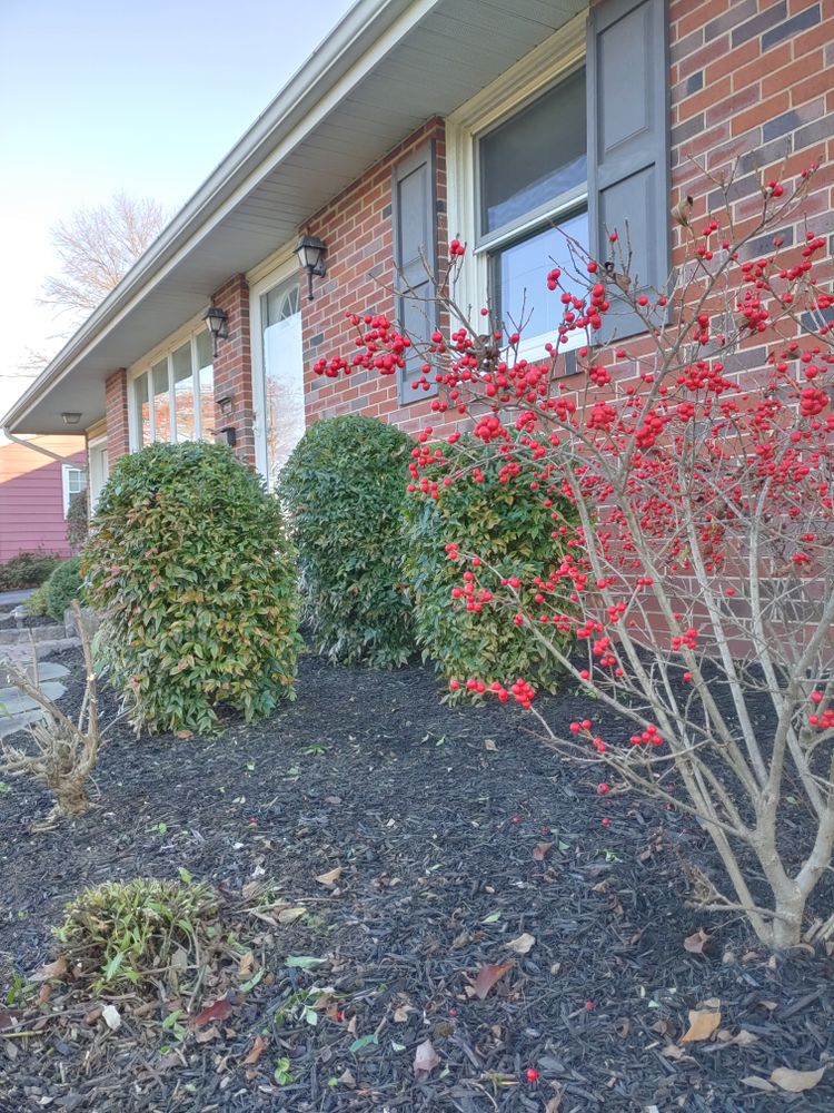 Landscaping for Conoy Acres Lawn Service in Elizabethtown, PA