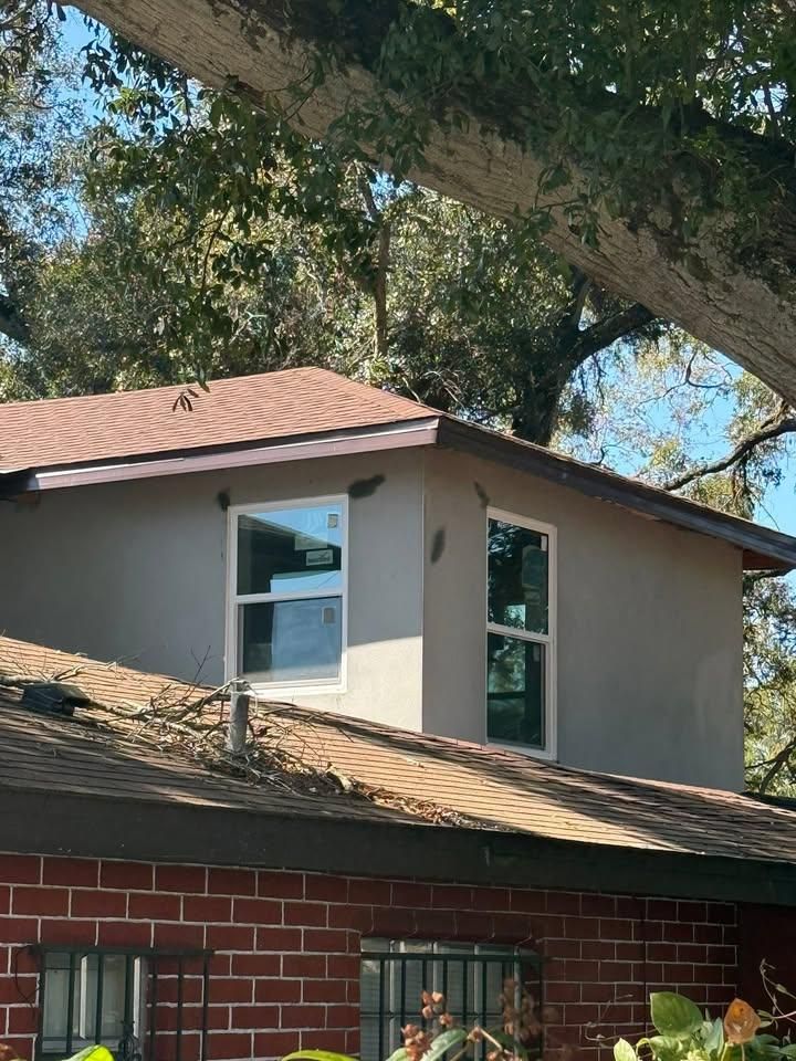 All Photos for Escorpio Painting in Tampa, FL