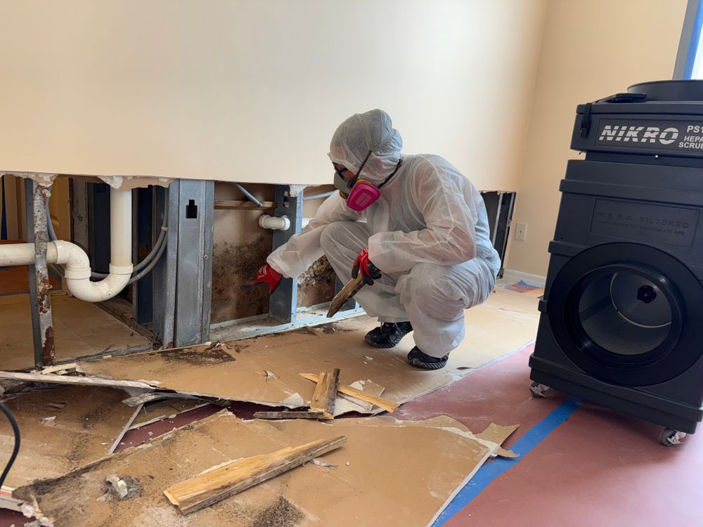 All Photos for N&D Restoration Services: When Disaster Strikes, We Come In in Cape Coral,  FL