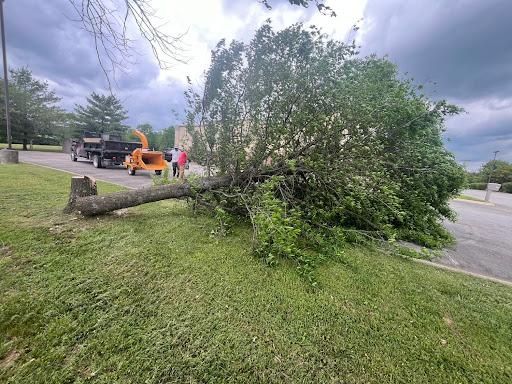 All Photos for Real Deal Lawn Care in Goodlettsville, TN