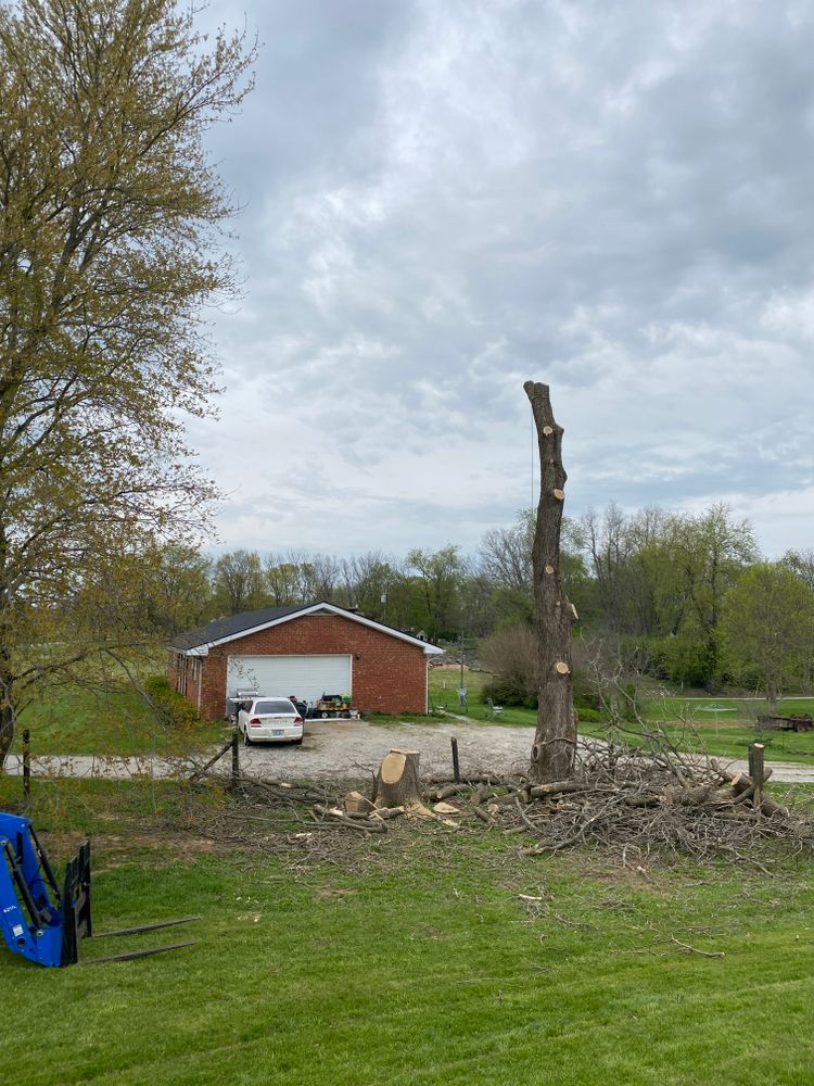 All Photos for Houtz Tree Service in Lexington, KY