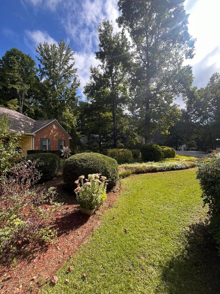 All Photos for VL Landscaping, LLC in Cartersville, GA