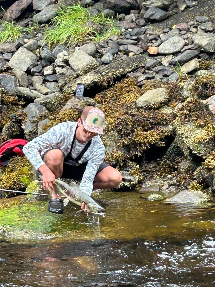 All Photos for Andy Naylor Excavation in Johnson, VT