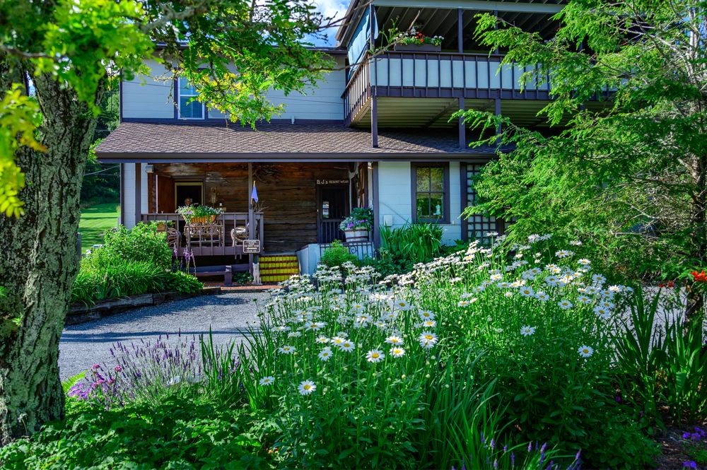 All Photos for Sustainable Lawn and Landscape in Banner Elk, NC