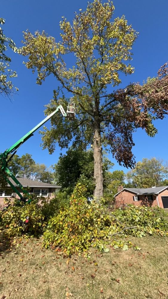 Mowing and Edging for Robbie's Lawn Care, LLC in Middletown, OH