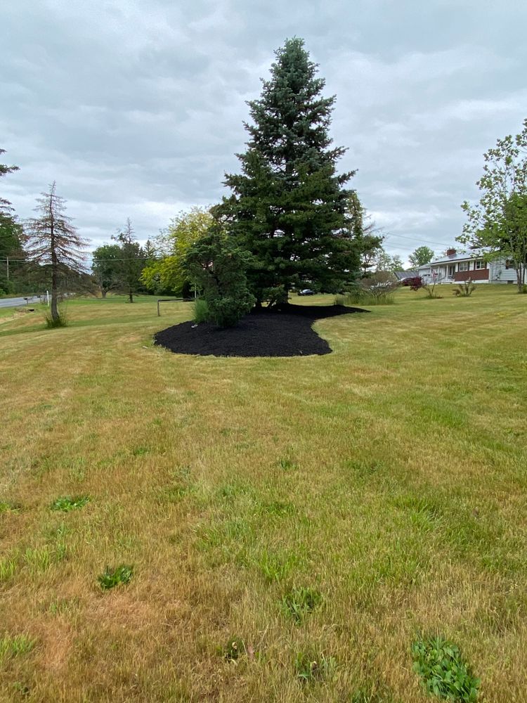 All Photos for Cuellar Lawn Care in Highland , NY 