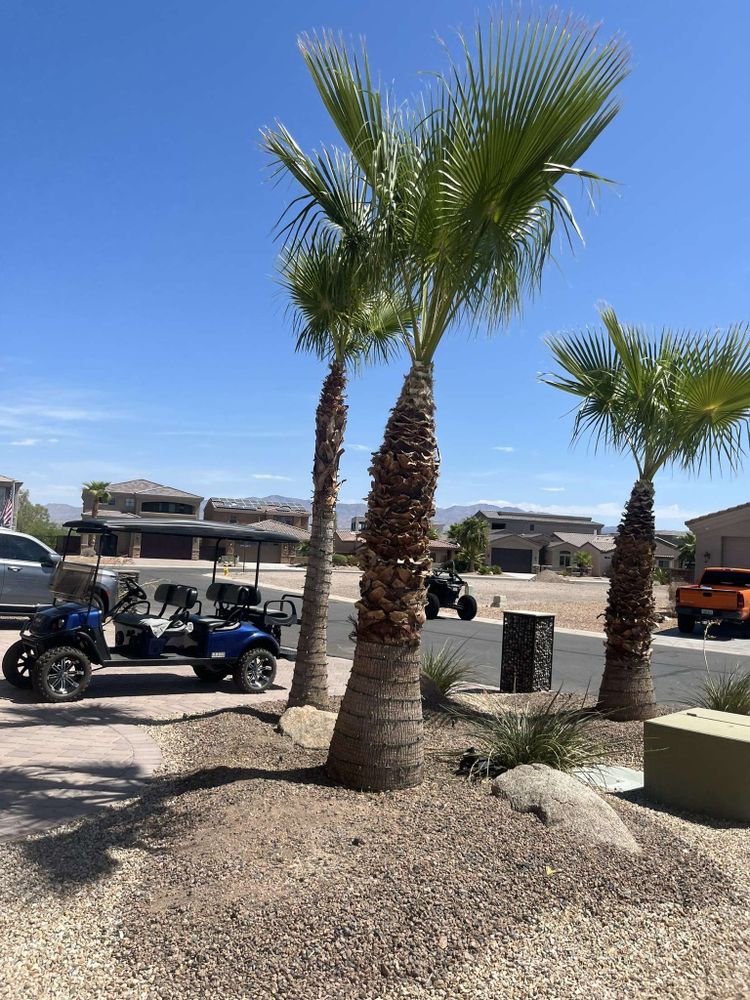 Enhance your outdoor living space with our expert patio design and construction services, offering tailored solutions that blend aesthetics and functionality to create the perfect retreat in your backyard. for Top Notch Landscape Services in Mohave Valley, AZ