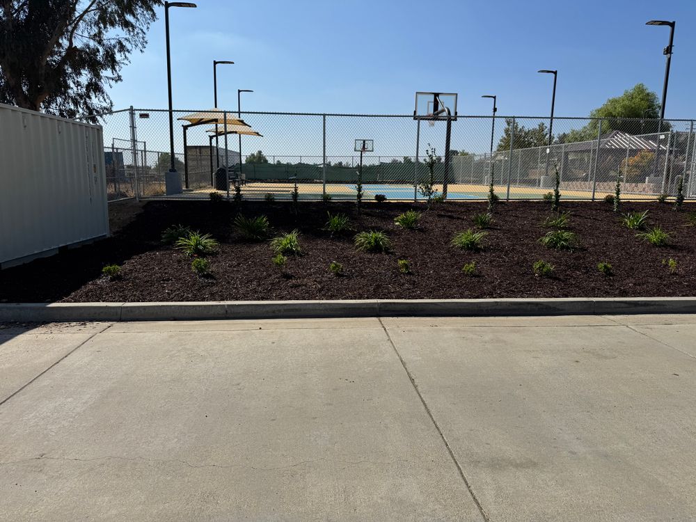 Drought-Tolerant Landscapes for Aidan Jade Landscaping in Riverside County, CA
