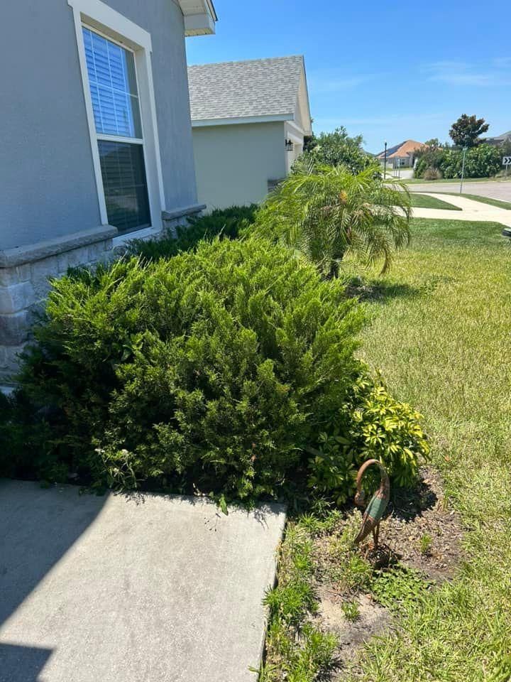 All Photos for Estrada All Pro Lawn Service in Auburndale, Florida