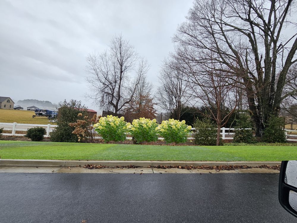 All Photos for Simply Natural Landscape in Abingdon, VA