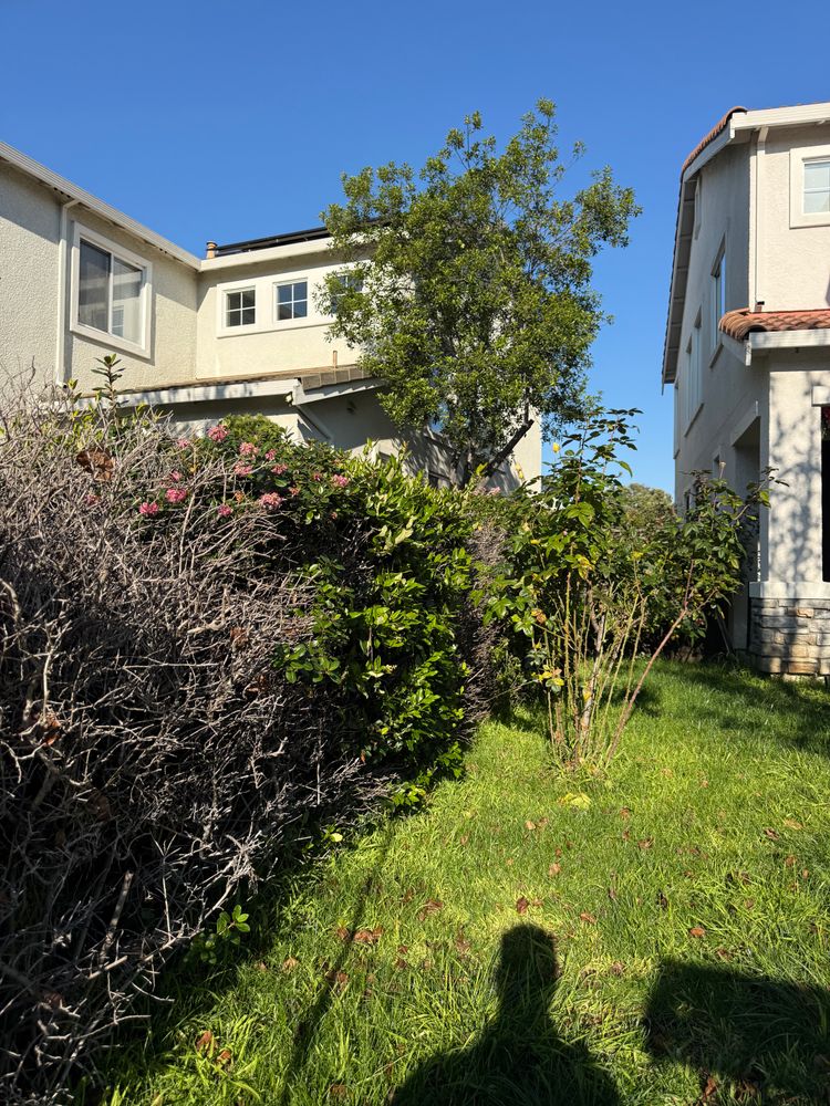 All Photos for CBA Landscaping in Hayward, CA