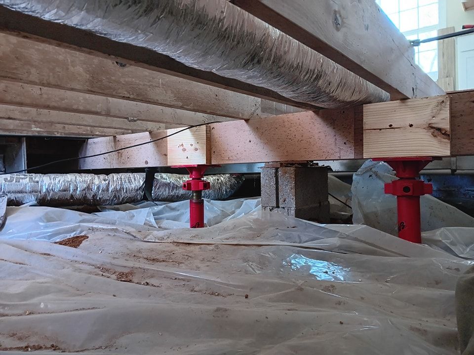 Subfloor repair and Beam Shoring for Dead Tree General Contracting in Carbondale, Illinois