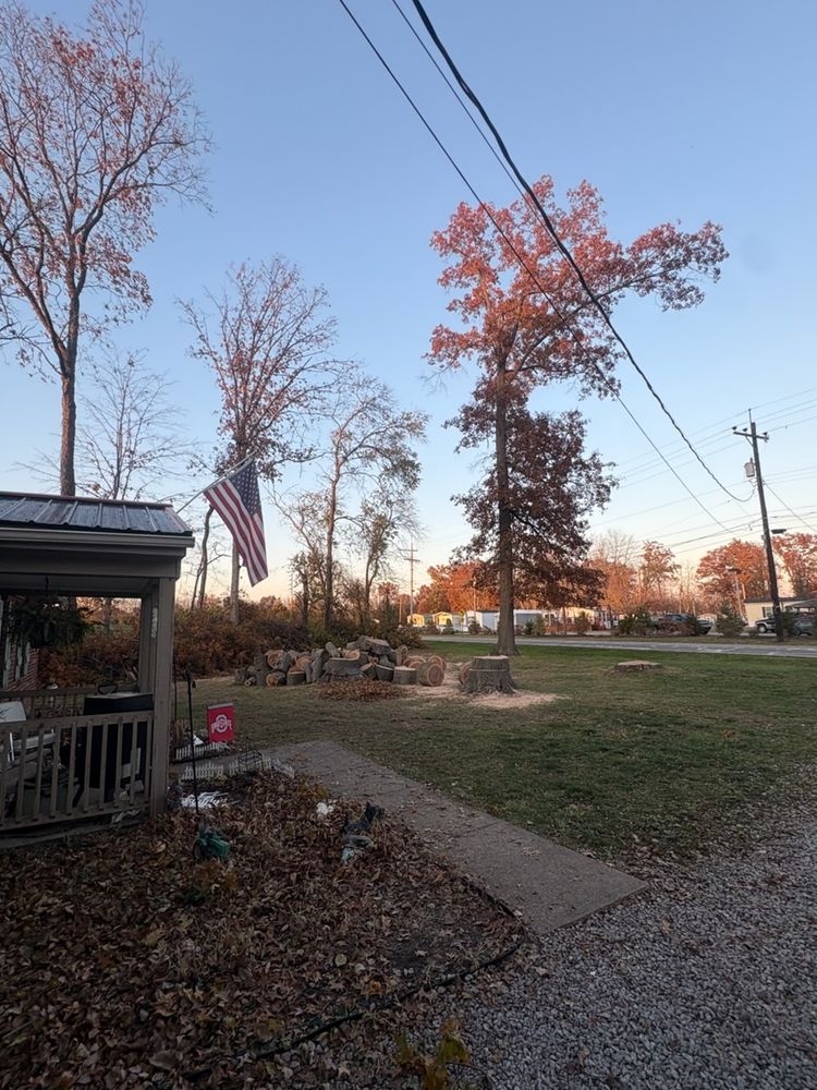 All Photos for Anstaetts Tree Service in Batavia, OH