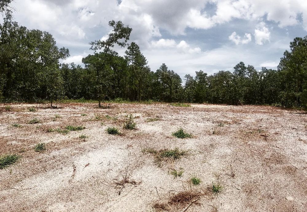 All Photos for Trinity Land Solutions in Brooksville, FL