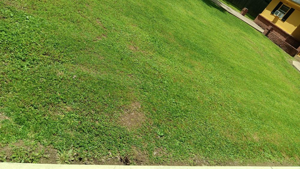 Our professional mowing service ensures a pristine, well-maintained lawn with precise cuts and attention to detail, enhancing your property's curb appeal while promoting healthy grass growth for a vibrant outdoor space. for Big Guy's Lawn Care & Landscaping Services in Memphis, TN