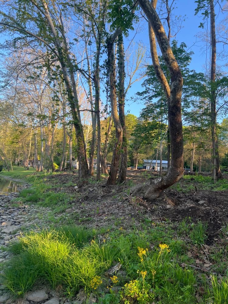 All Photos for Clarke Excavation Co. in Covington, VA