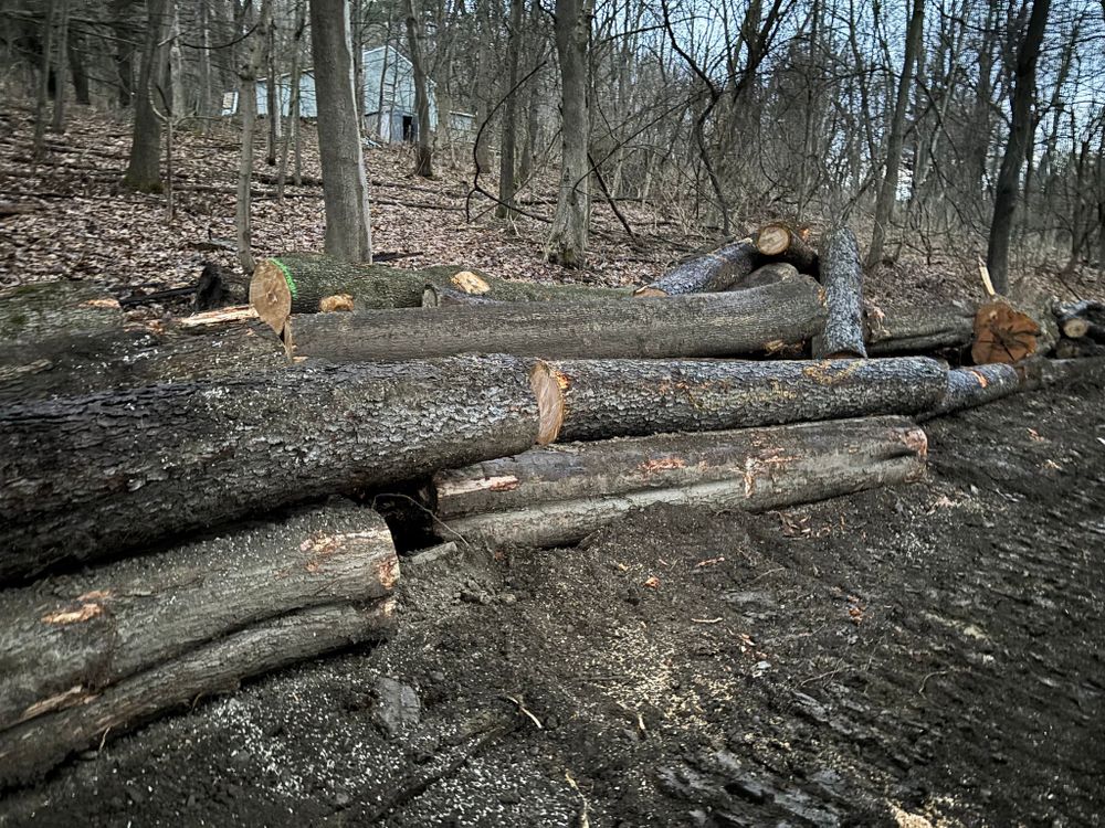 All Photos for Brax Forestry in Endicott, NY