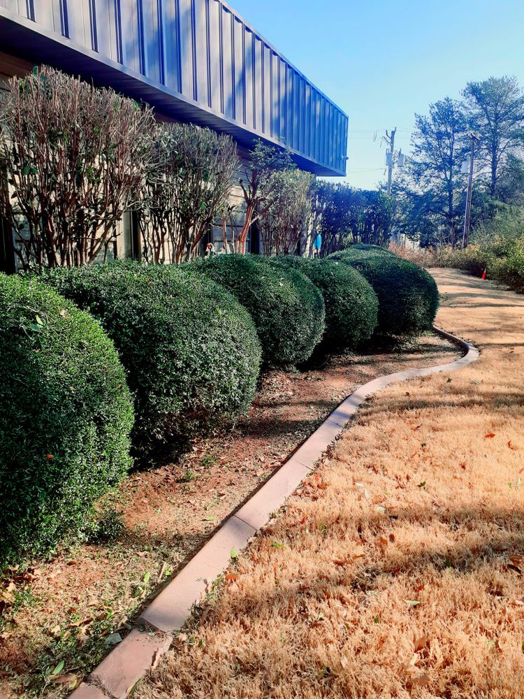Enhance your home's curb appeal with our professional shrub trimming services, ensuring beautifully shaped and healthy plants that complement your landscape. Trust our experts for precise, reliable care all year round. for Down To Earth Tree and Landscaping in Greenville, SC