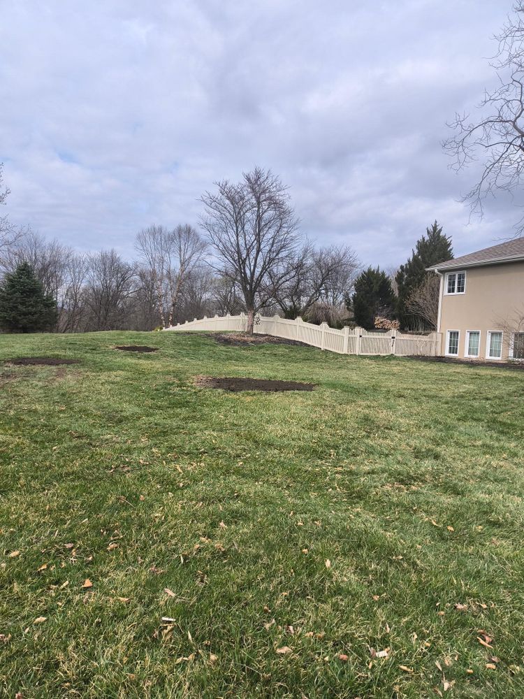 Tree Removal for Cross Family Tree Service in Kearney, MO