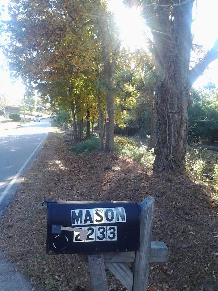 Tree Services for Wofford's Grading Clearing and Landscaping in Milton, GA