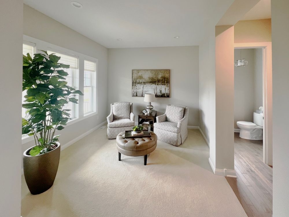 All Photos for Thunder Bear Painting in Eden Prairie, Minnesota