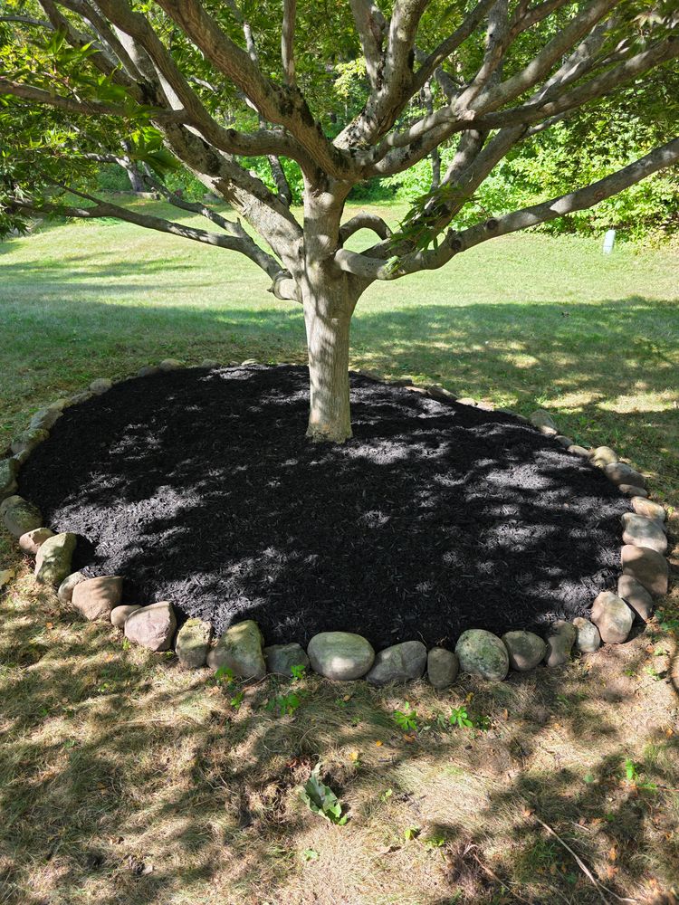 All Photos for Sweet Scapes in Ballston Spa, NY